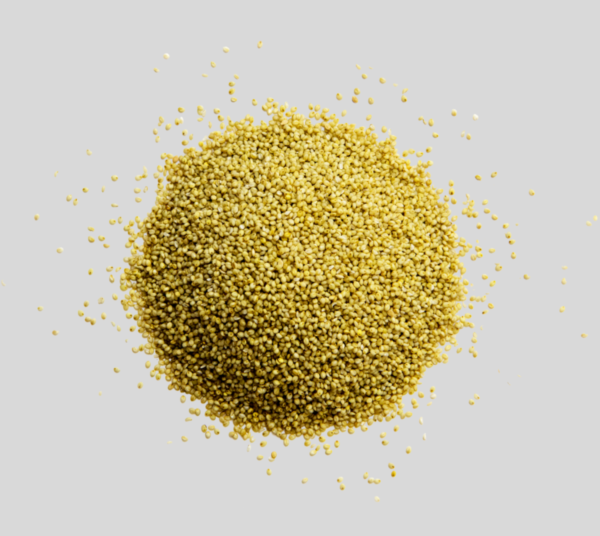 Browntop millet Browntop Millet (Andua)