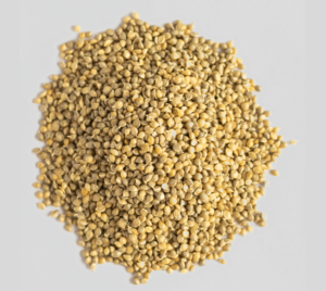 barnyard millet Barnyard Millet (Sanwa)