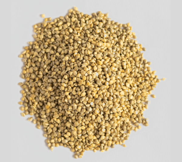 Barnyard Millet (Sanwa)