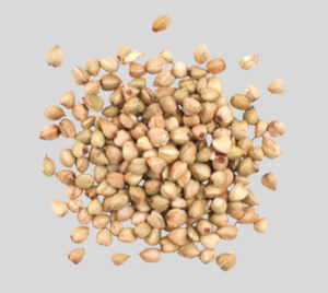 buckwheat Buckwheat Millet (Kuttu)