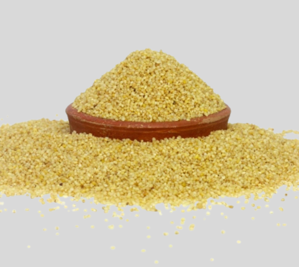 foxtail Foxtail Millet