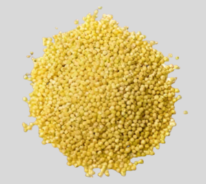 proso millet Proso Millet (Chena)