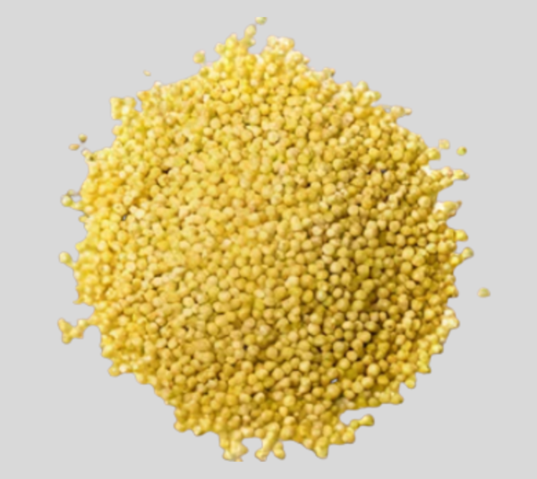 proso millet Proso Millet (Chena)