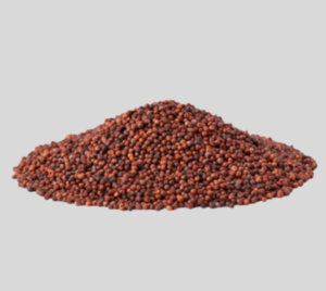 ragi Finger Millet (Ragi)